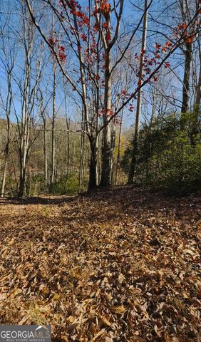 0 Gove, Sautee Nacoochee, GA 30571