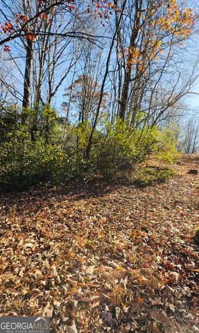 0 Gove, Sautee Nacoochee, GA 30571