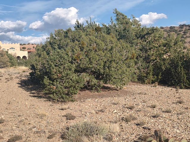 Camino De Las Huertas, Placitas, NM 87043