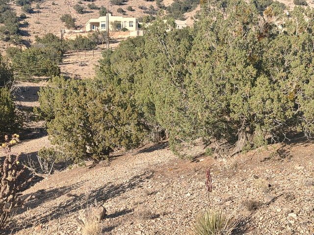Camino De Las Huertas, Placitas, NM 87043
