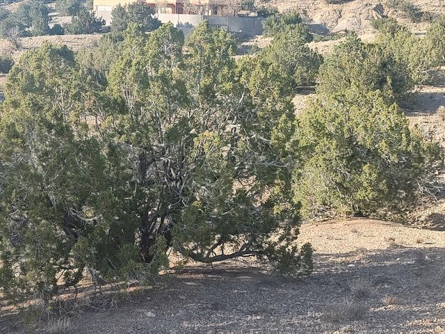 Camino De Las Huertas, Placitas, NM 87043