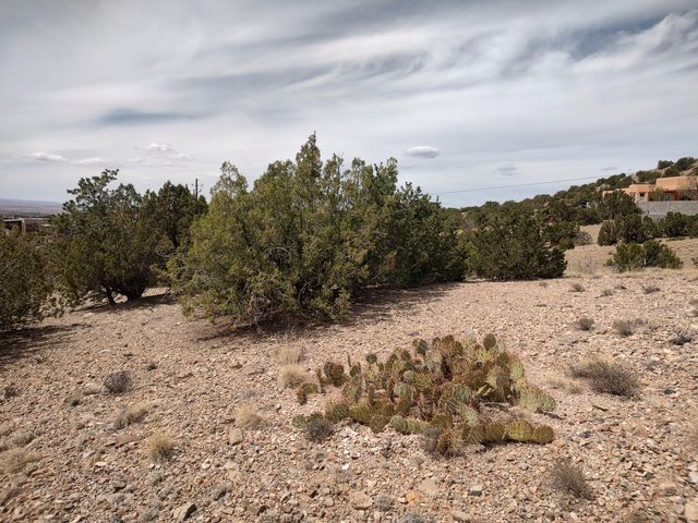 Camino De Las Huertas, Placitas, NM 87043