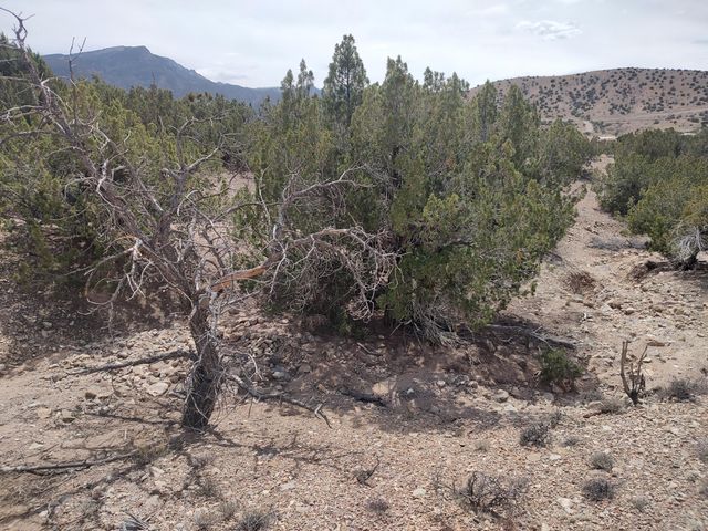 Camino De Las Huertas, Placitas, NM 87043