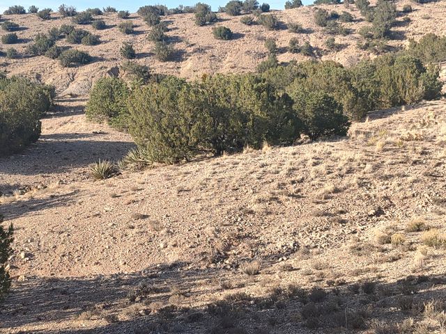 Camino De Las Huertas, Placitas, NM 87043