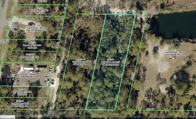MERRYHILL DRIVE, Webster, FL 33597
