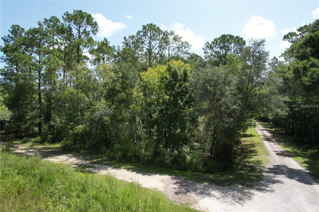 MERRYHILL DRIVE, Webster, FL 33597