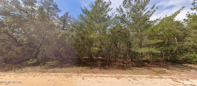 0 BRETT Avenue, Interlachen, FL 32148