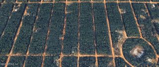 0 BRETT Avenue, Interlachen, FL 32148