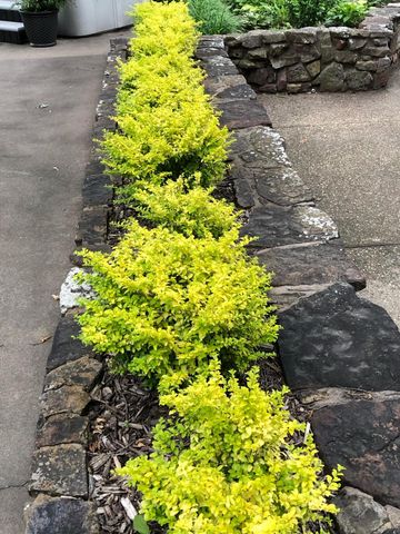 10801 S 590 Road, Miami, OK 74354