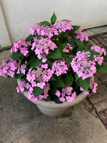 10801 S 590 Road, Miami, OK 74354