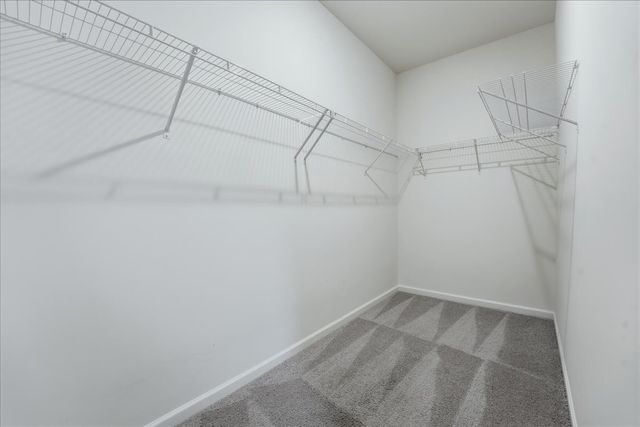 293 Brook Ave, White House, TN 37188