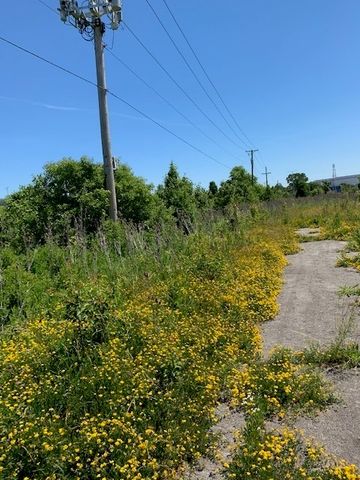 Vacant W Maple Street, Mokena, IL 60448