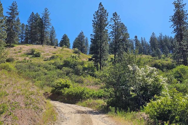 2XXX Wrights Valley Rd, Chewelah, WA 99109