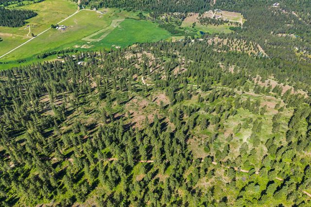 2XXX Wrights Valley Rd, Chewelah, WA 99109