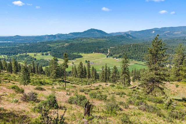 2XXX Wrights Valley Rd, Chewelah, WA 99109