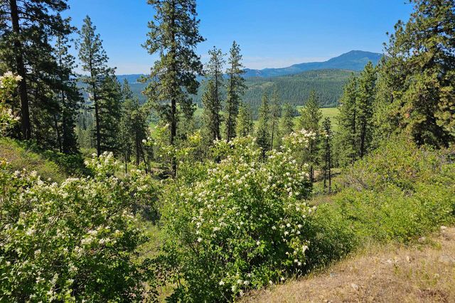 2XXX Wrights Valley Rd, Chewelah, WA 99109