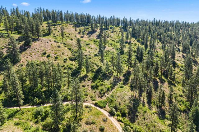 2XXX Wrights Valley Rd, Chewelah, WA 99109