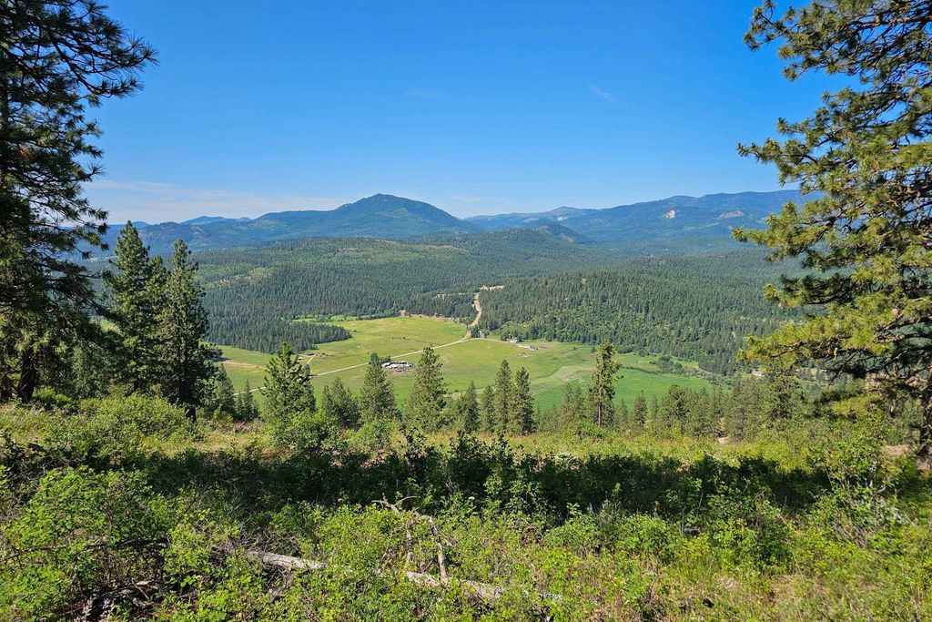 2XXX Wrights Valley Rd, Chewelah, WA 99109