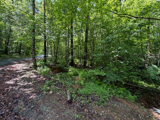 2.75AC Quail Ridge Road, Epworth, GA 30541