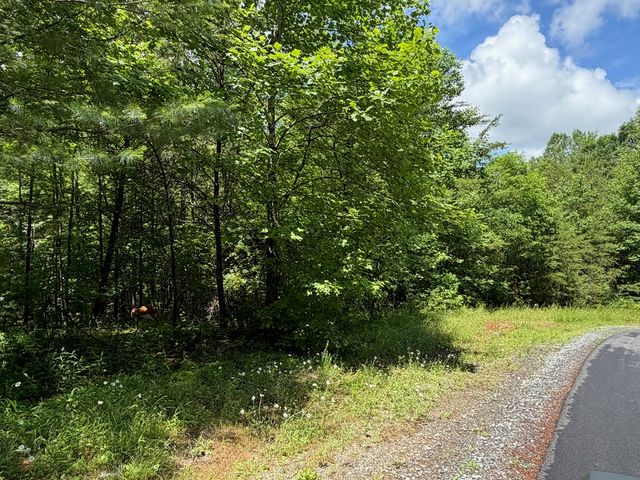 2.75AC Quail Ridge Road, Epworth, GA 30541