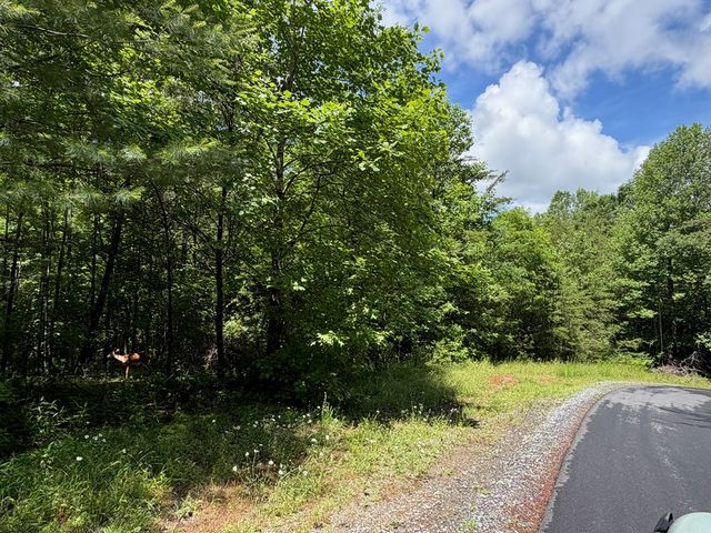 2.75AC Quail Ridge Road, Epworth, GA 30541