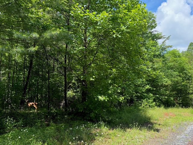 2.75AC Quail Ridge Road, Epworth, GA 30541