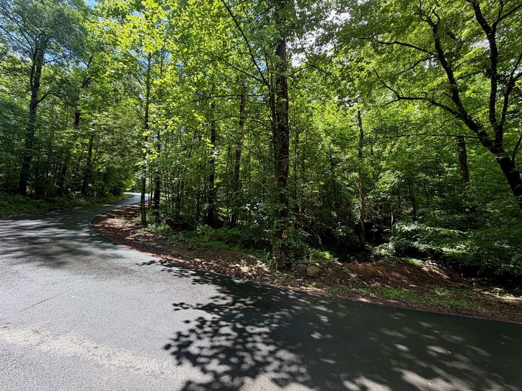 2.75AC Quail Ridge Road, Epworth, GA 30541