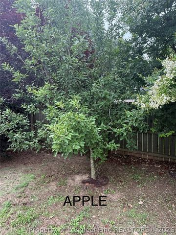 2805 Franciscan Drive, Fayetteville, NC 28306