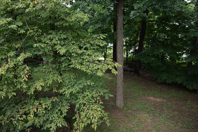 1216 Jacksons Hill Rd, Hermitage, TN 37076