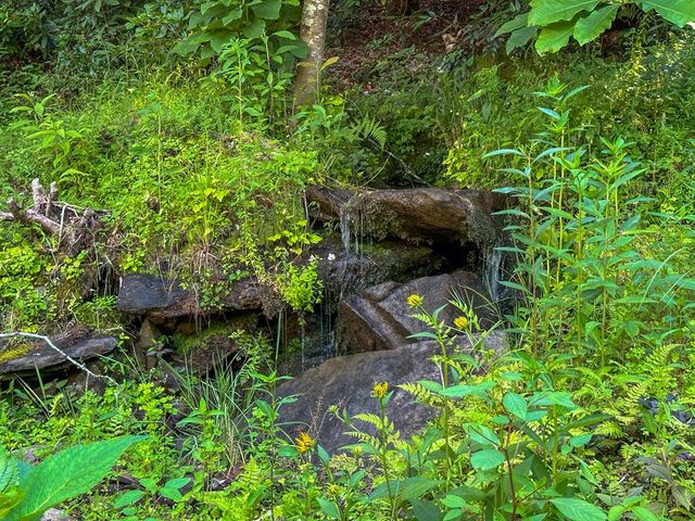 916 Riverside Lane, Blue Ridge, GA 30513