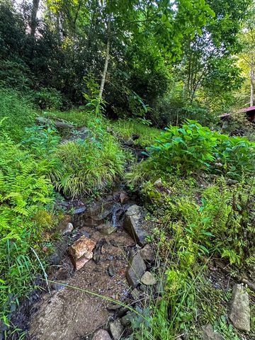 916 Riverside Lane, Blue Ridge, GA 30513
