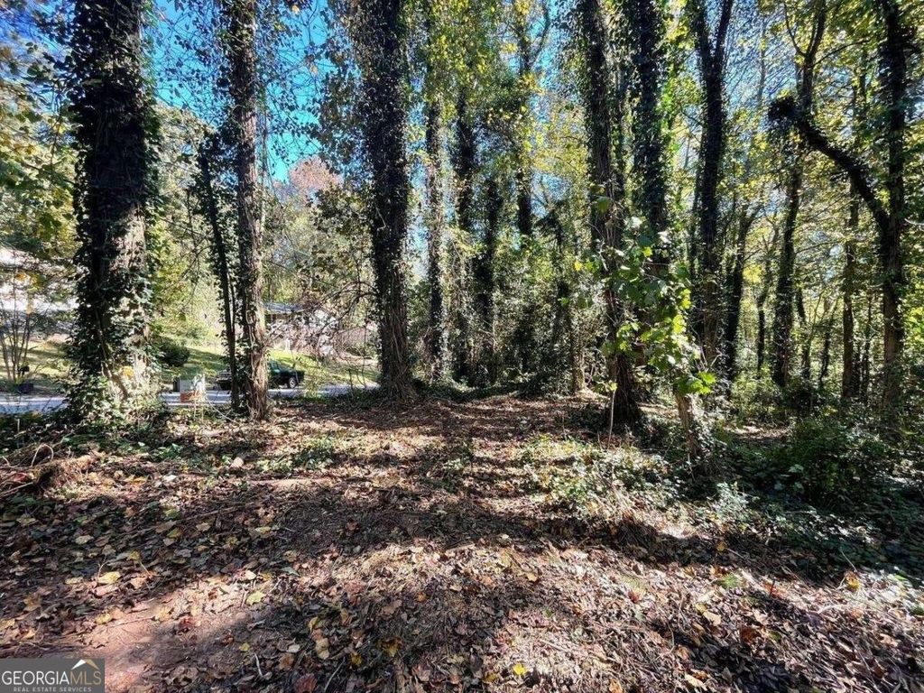 1060 De Leon Drive, Clarkston, GA 30021 — exterior
