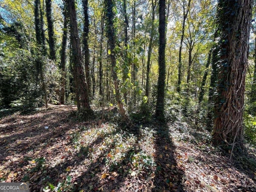 1060 De Leon Drive, Clarkston, GA 30021 — photo 2
