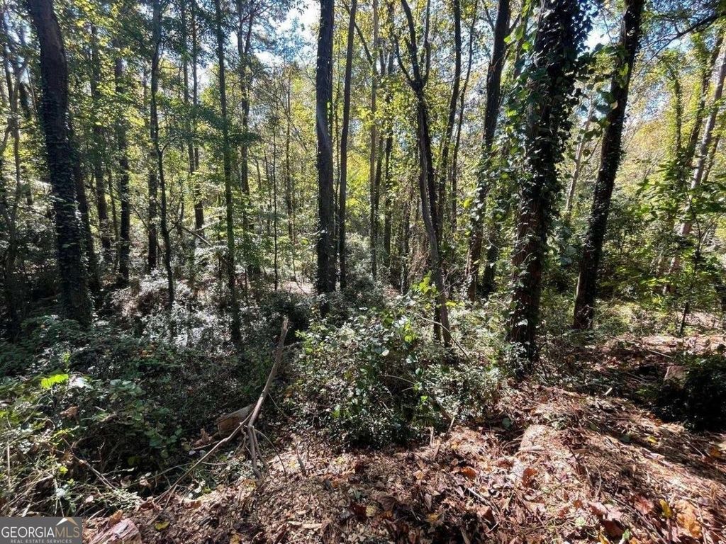 1060 De Leon Drive, Clarkston, GA 30021 — photo 4