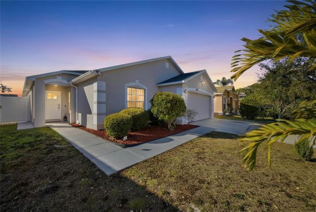 7206 HAMILTON PARK BOULEVARD, Tampa, FL 33615