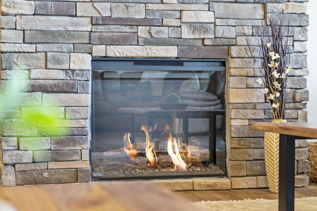 85 David Shawn Drive, Indian Point, MO 65616