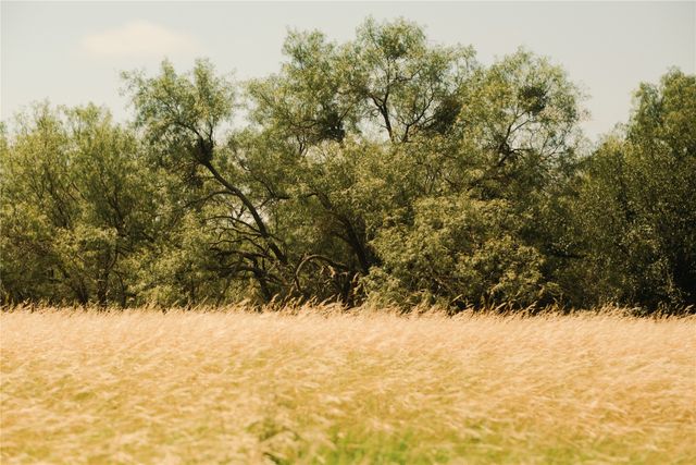 10405 Lipan Highway, Lipan, TX 76462