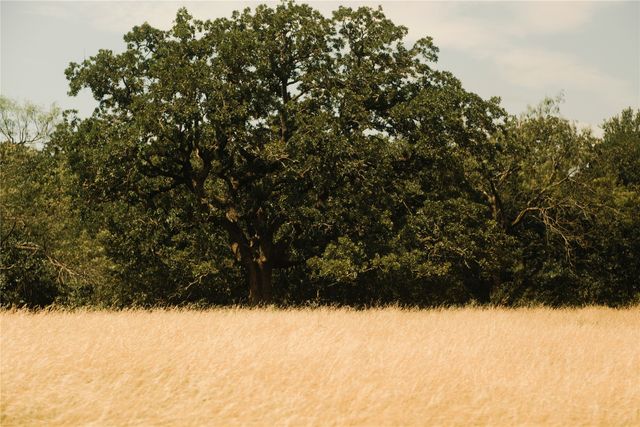 10405 Lipan Highway, Lipan, TX 76462