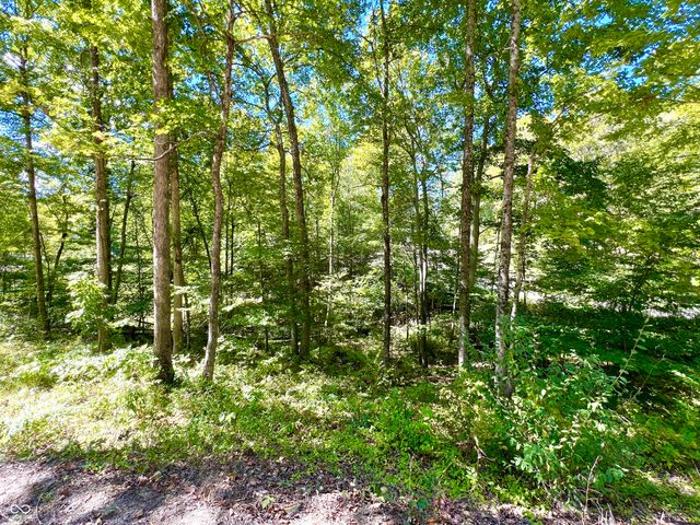 Lot 3 Woods Lane, Nashville, IN 47448