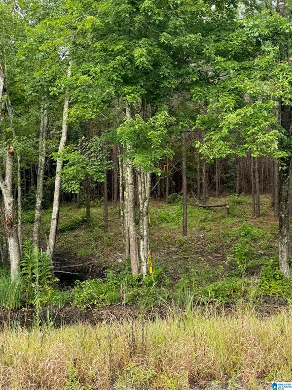 0 CONCORD CHURCH ROAD, Talladega, AL 35160