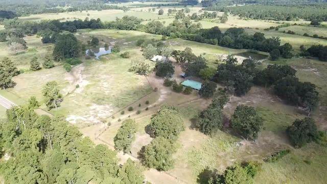 4668 E Fm 1280, Friday, TX 75845