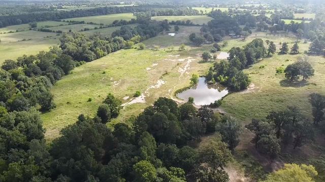 4668 E Fm 1280, Friday, TX 75845