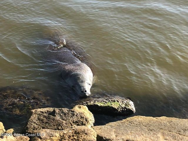 7020 N Highway 1 Ee-202, Cocoa, FL 32927