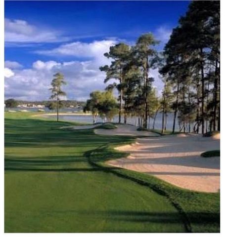 171 April Cove, Conroe, TX 77356