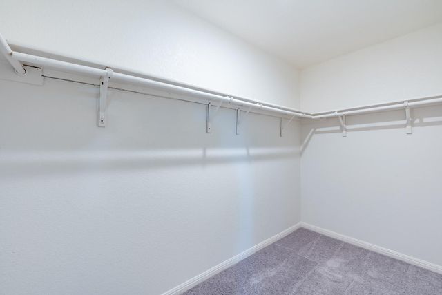 12720 Samuel Adams DR, Manor, TX 78653