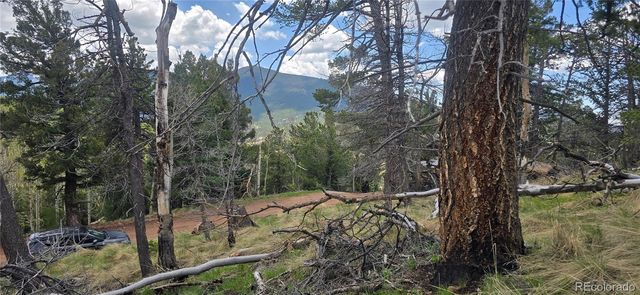 Lot 2732 Grojean Drive, Fort Garland, CO 81133