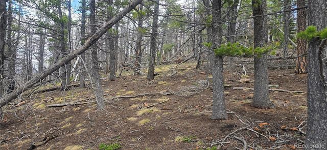 Lot 2732 Grojean Drive, Fort Garland, CO 81133