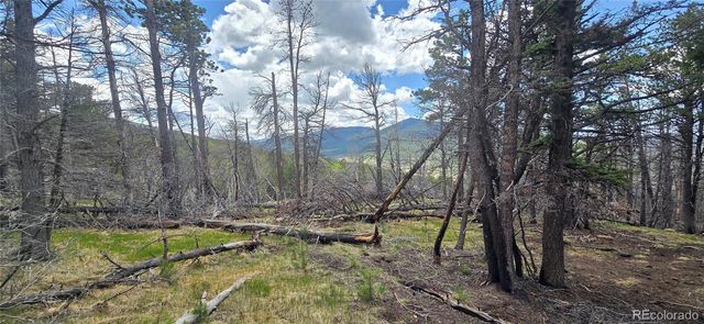 Lot 2732 Grojean Drive, Fort Garland, CO 81133