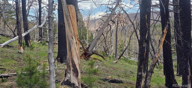 Lot 2732 Grojean Drive, Fort Garland, CO 81133