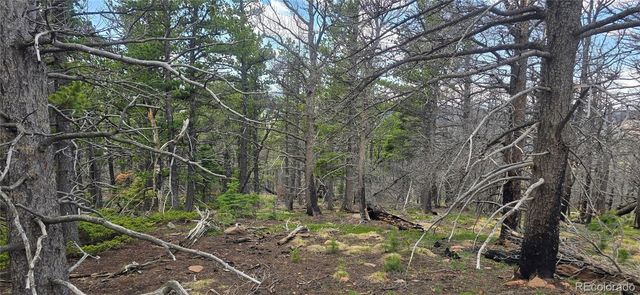 Lot 2732 Grojean Drive, Fort Garland, CO 81133